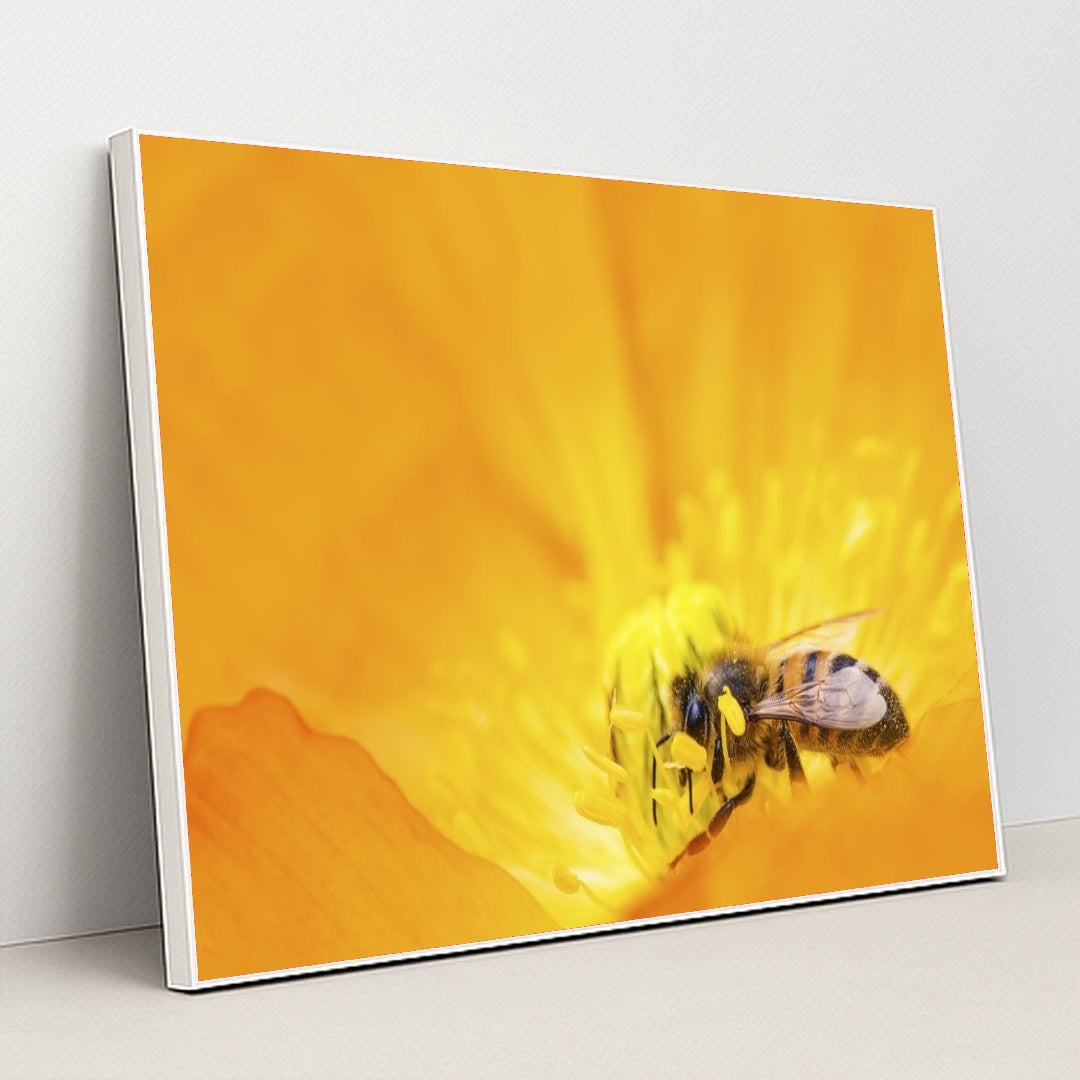 7090219188259 - Product Image