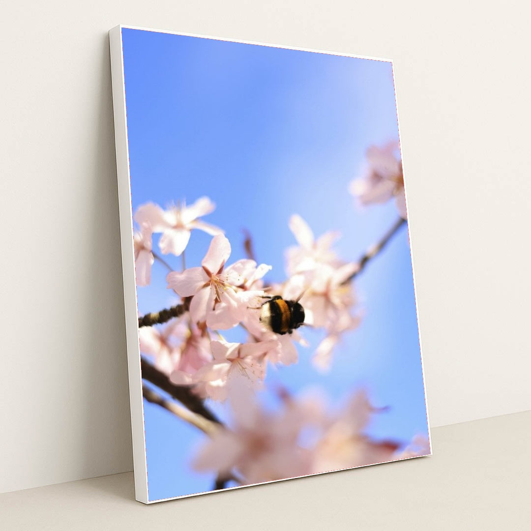 7090328141859 - Product Image