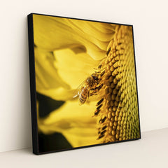 7090262147107 - Product Image