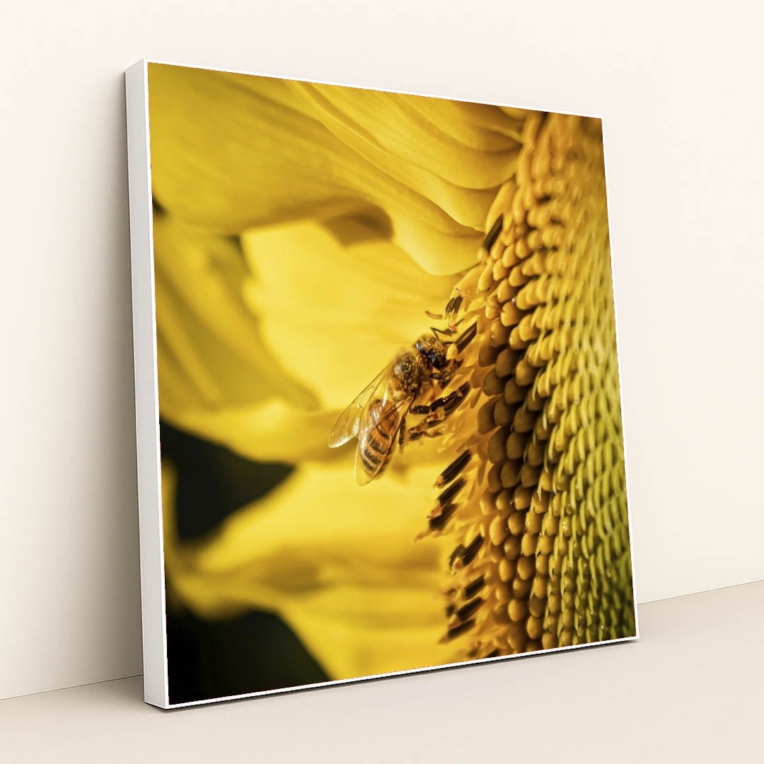 7090262147107 - Product Image