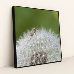 7090291769379 - Product Image