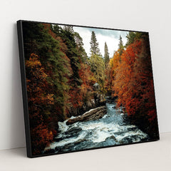 Between Stones and Seasons by Daniel J. Schwarz - Black Frame Stretchiez