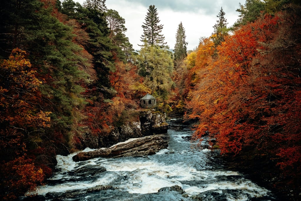 Between Stones and Seasons by Daniel J. Schwarz