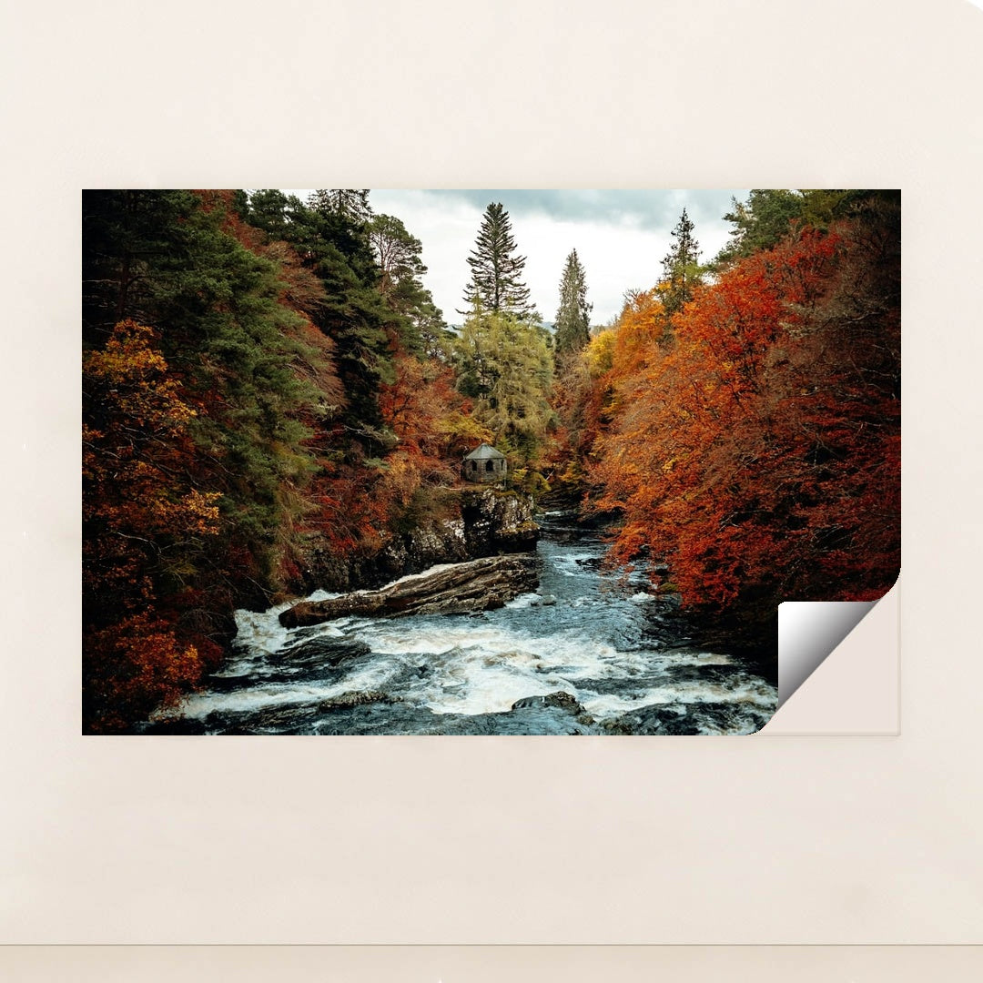Between Stones and Seasons by Daniel J. Schwarz - Peeliez
