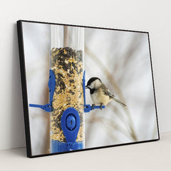 7090344886307 - Product Image