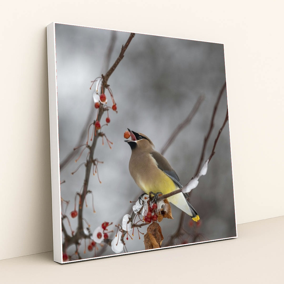 7090328338467 - Product Image