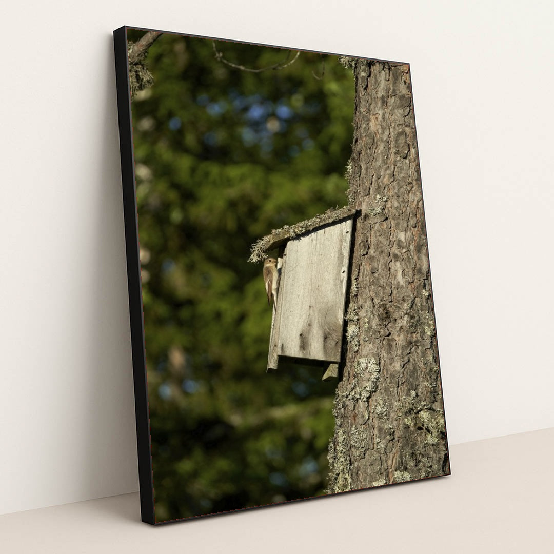 7090331484195 - Product Image