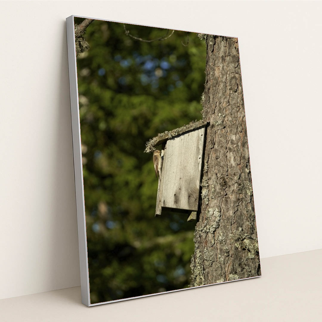 7090331484195 - Product Image