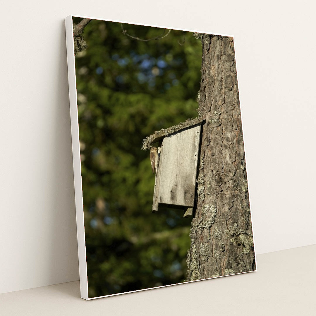 7090331484195 - Product Image