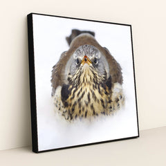 7090328436771 - Product Image