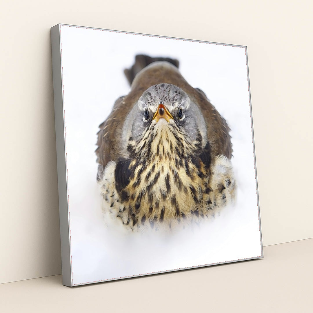 7090328436771 - Product Image