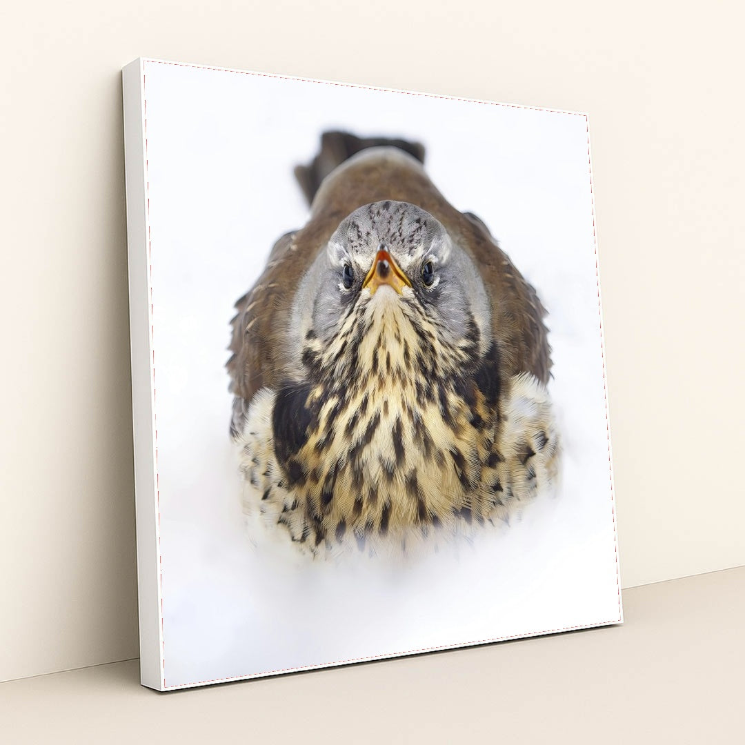 7090328436771 - Product Image