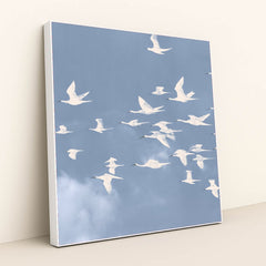 6378 - Product Image