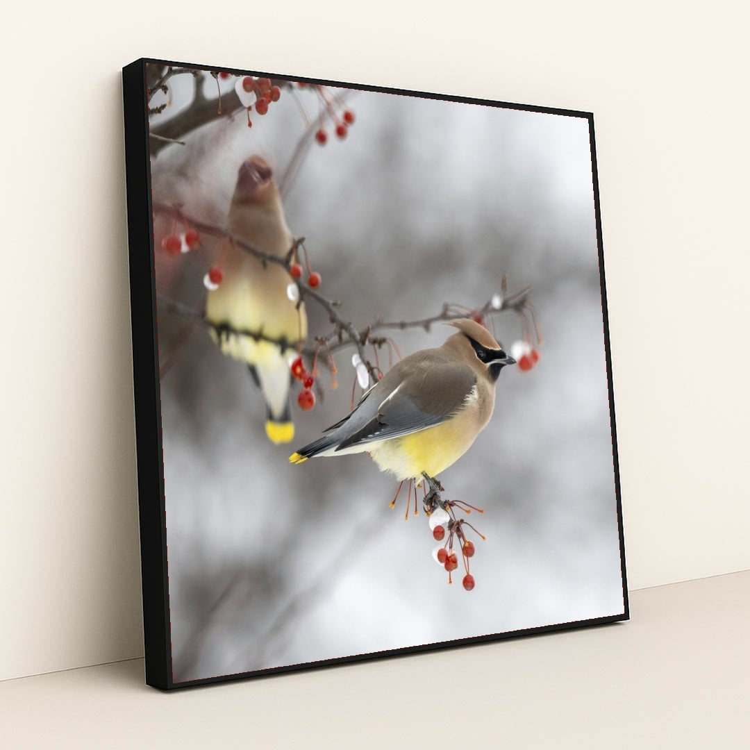 7090340429859 - Product Image