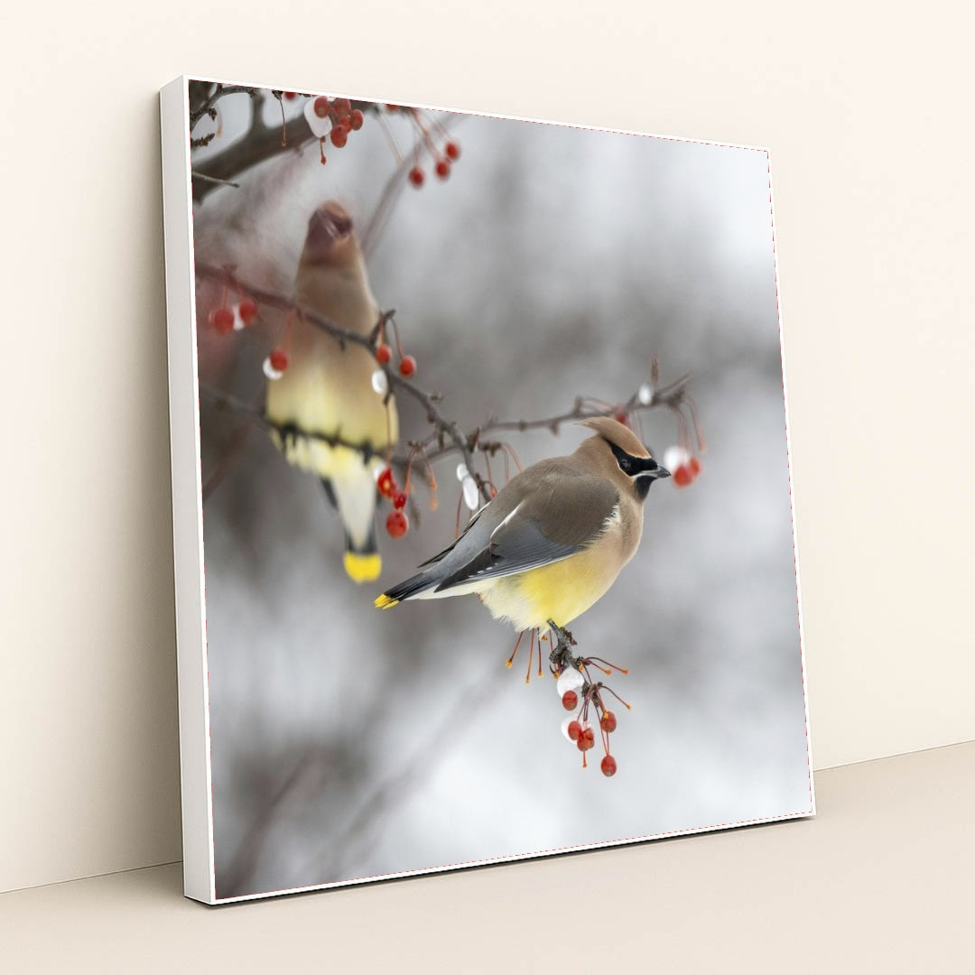 7090340429859 - Product Image