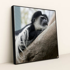 7090343673891 - Product Image