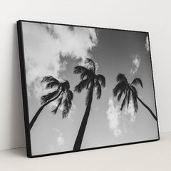 Palm Trees Against Cloudy Sky by Jess Loiterton - Black Frame Stretchiez