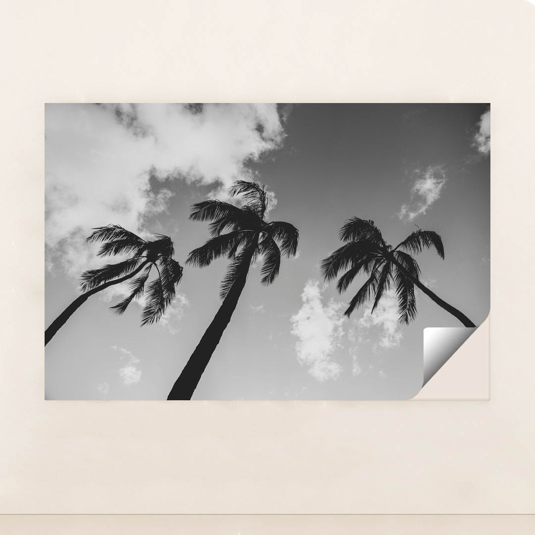 Palm Trees Against Cloudy Sky by Jess Loiterton - Peeliez