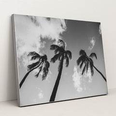 Palm Trees Against Cloudy Sky by Jess Loiterton - Silver Frame Stretchiez