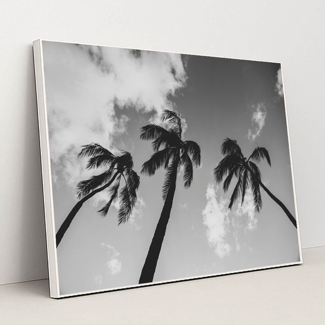Palm Trees Against Cloudy Sky by Jess Loiterton - White Frame Stretchiez