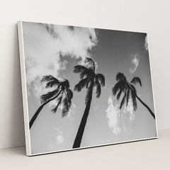 Palm Trees Against Cloudy Sky by Jess Loiterton - White Frame Stretchiez