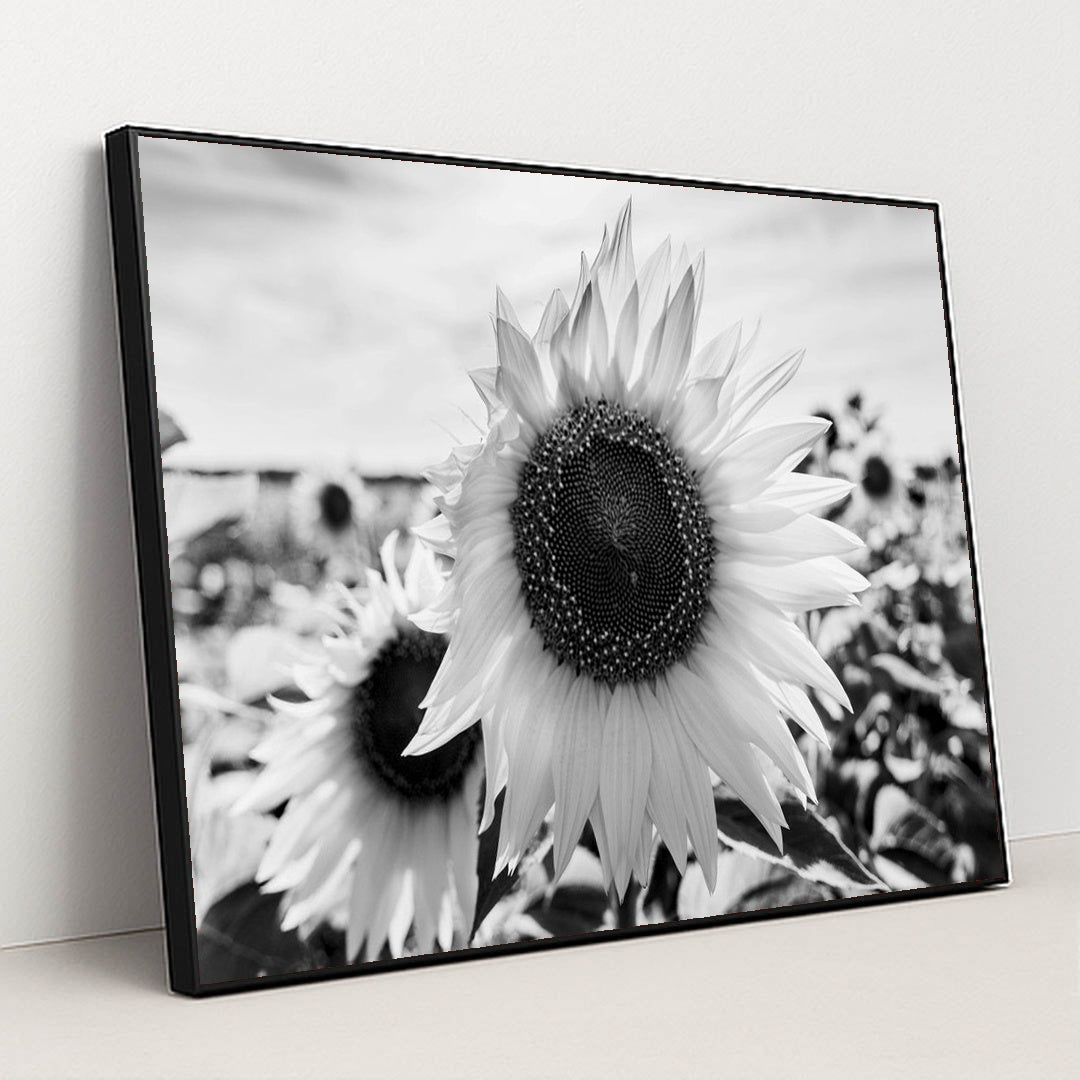 Textured Sunflowers in Black and White by Raul Ling - Black Frame Stretchiez