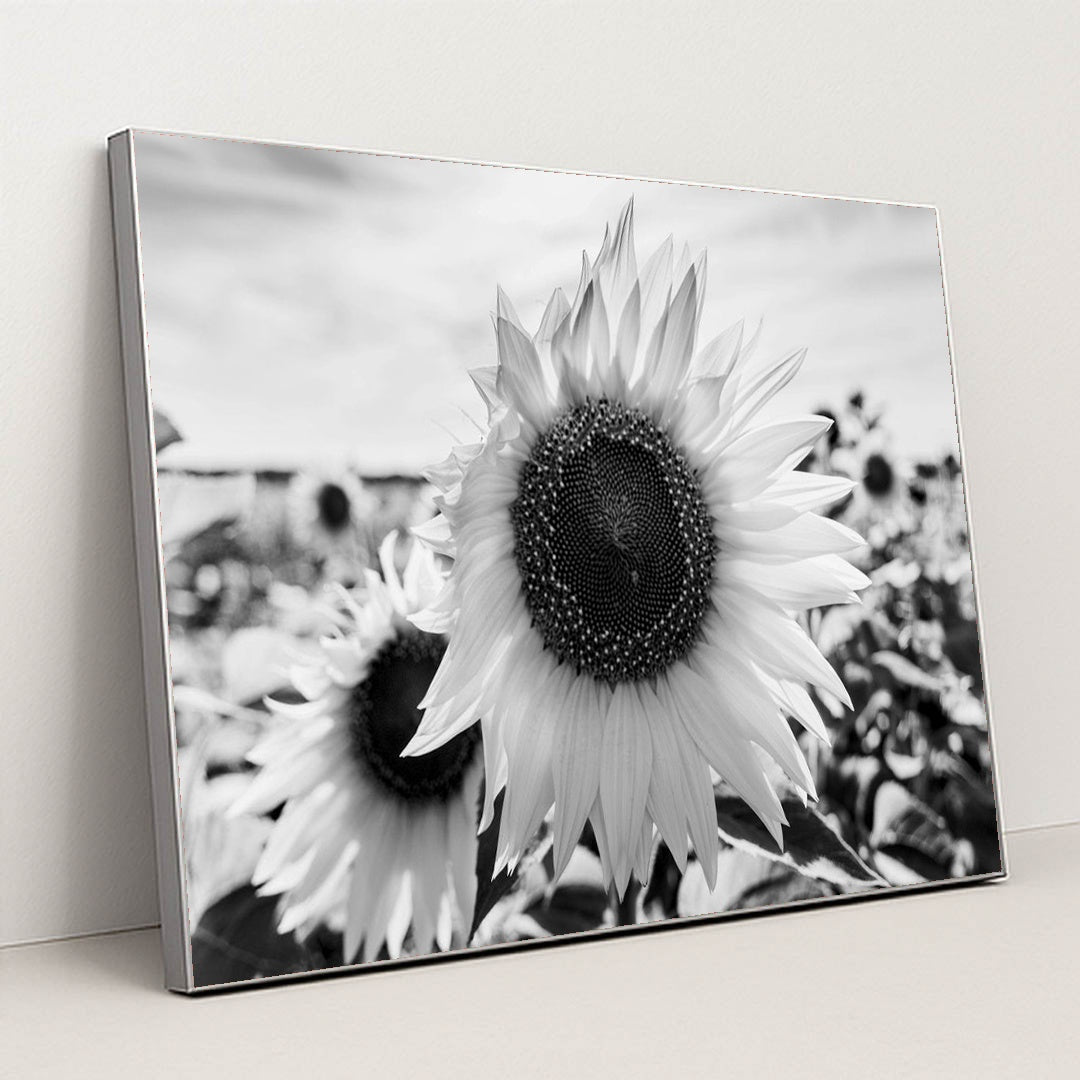 Textured Sunflowers in Black and White by Raul Ling - Silver Frame Stretchiez