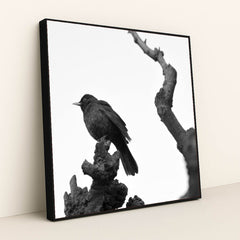 7090364776483 - Product Image