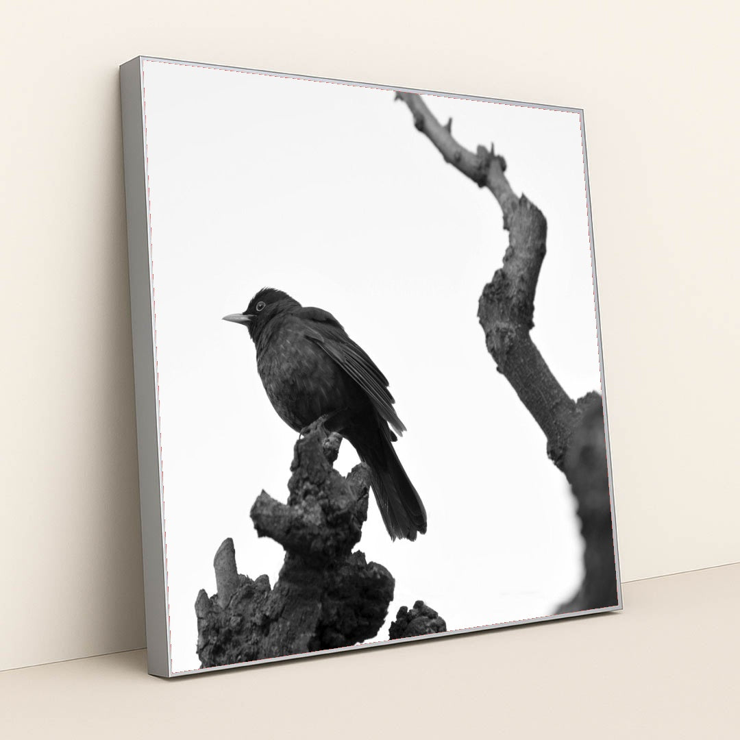 7090364776483 - Product Image