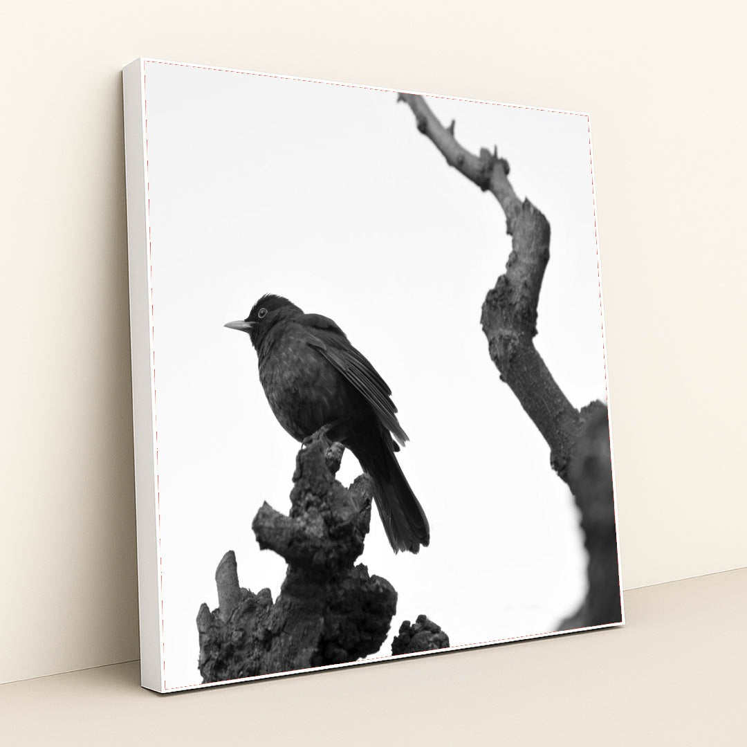 7090364776483 - Product Image