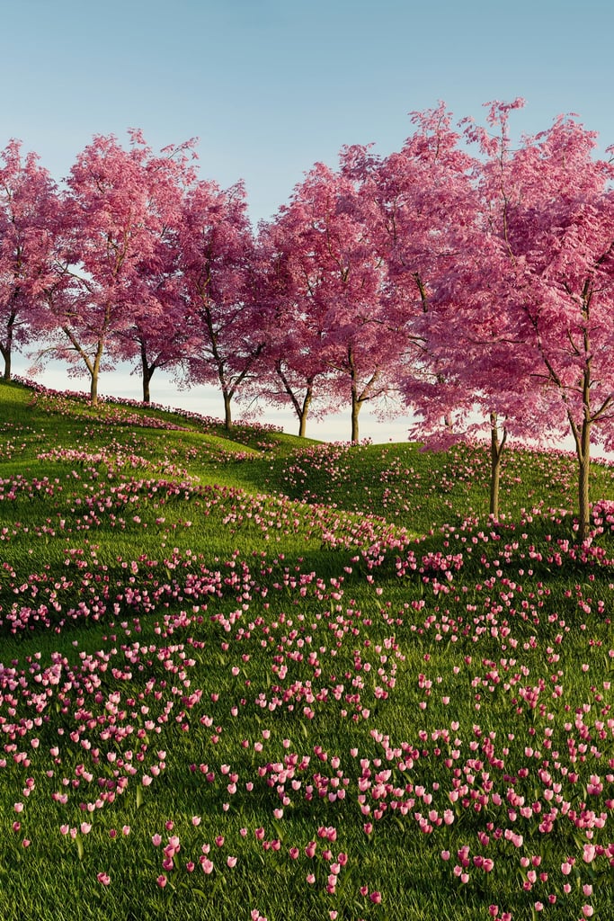 Blossom Hills by A Chosen Soul
