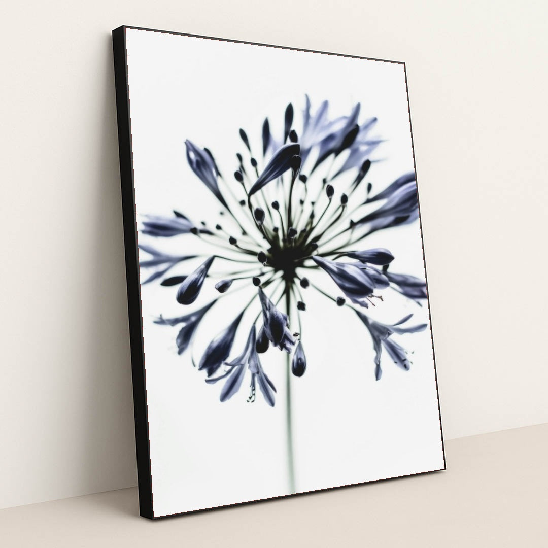 7090217287715 - Product Image