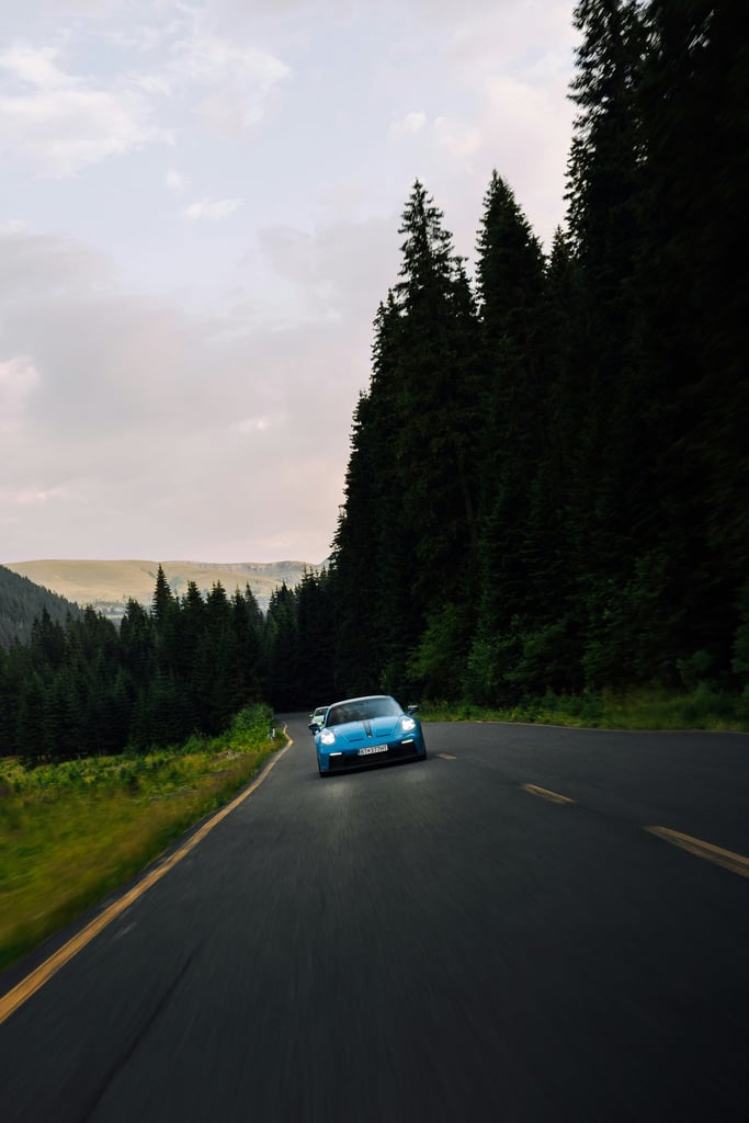 Porsche 911 Tree Run driving along a winding road surrounded by lush green pines, emphasizing car wall art.