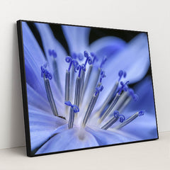 Vibrant Blue Flower Macro by Petr Ganaj - Black Frame Stretchiez