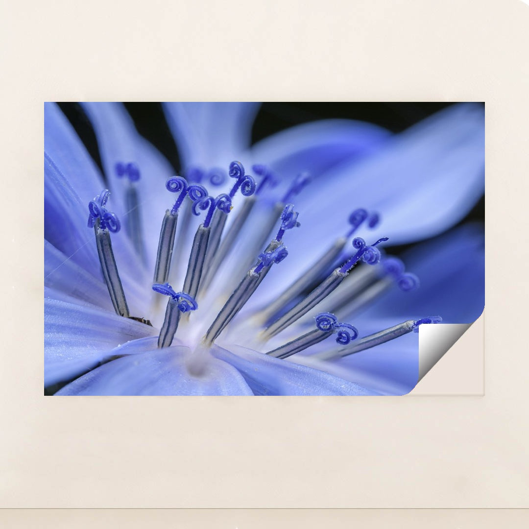 Vibrant Blue Flower Macro by Petr Ganaj - Peeliez