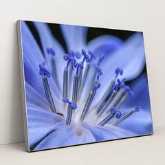 Vibrant Blue Flower Macro by Petr Ganaj - Silver Frame Stretchiez