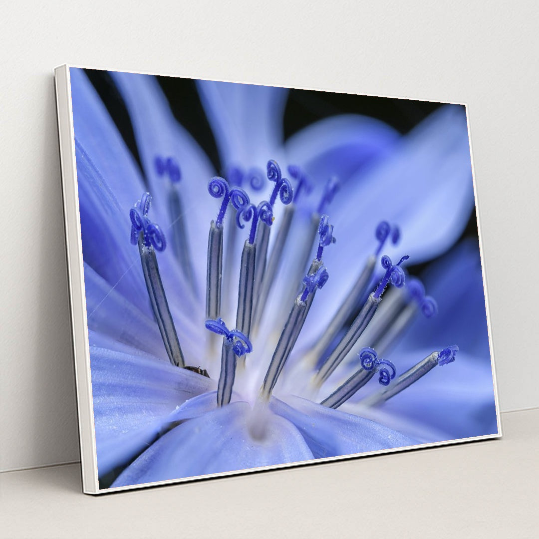 Vibrant Blue Flower Macro by Petr Ganaj - White Frame Stretchiez