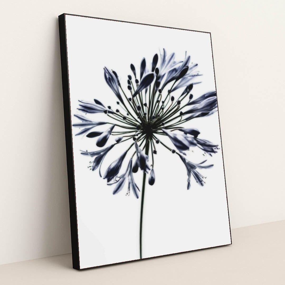 7090288263203 - Product Image