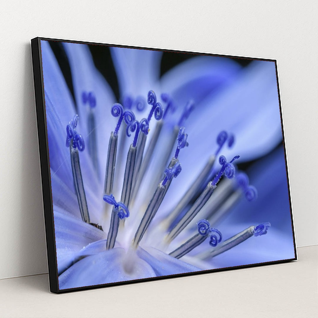 7090292162595 - Product Image