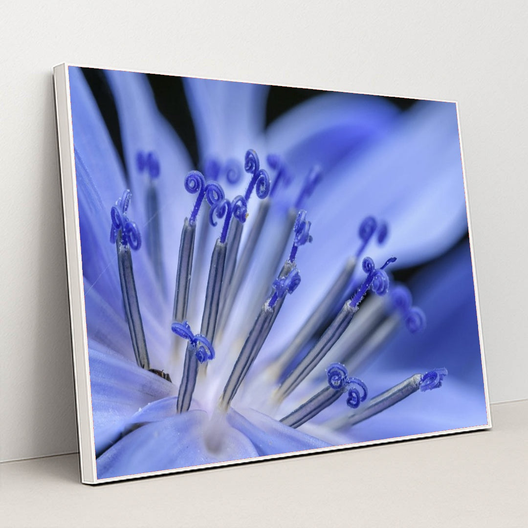 7090292162595 - Product Image