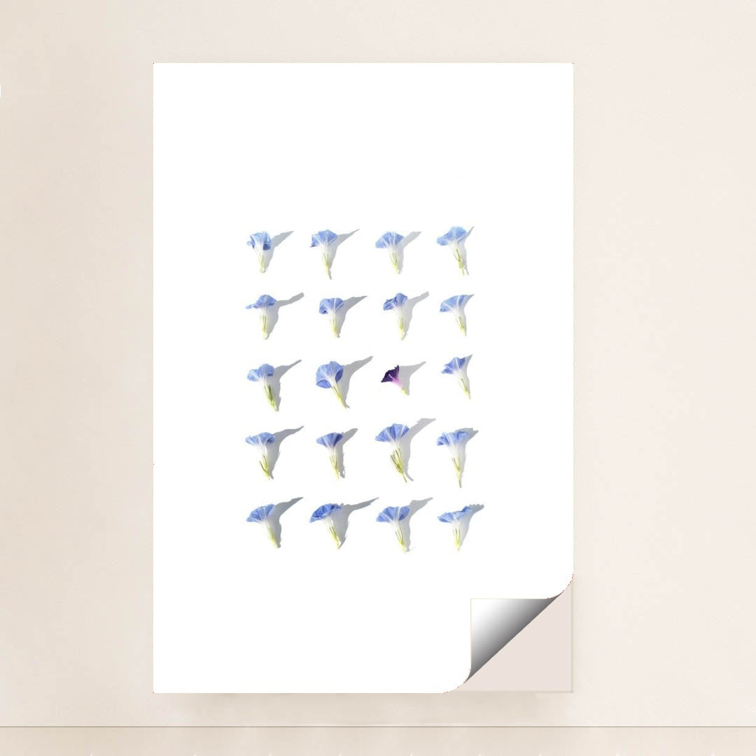 7090292523043 - Product Image