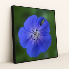 7090292064291 - Product Image