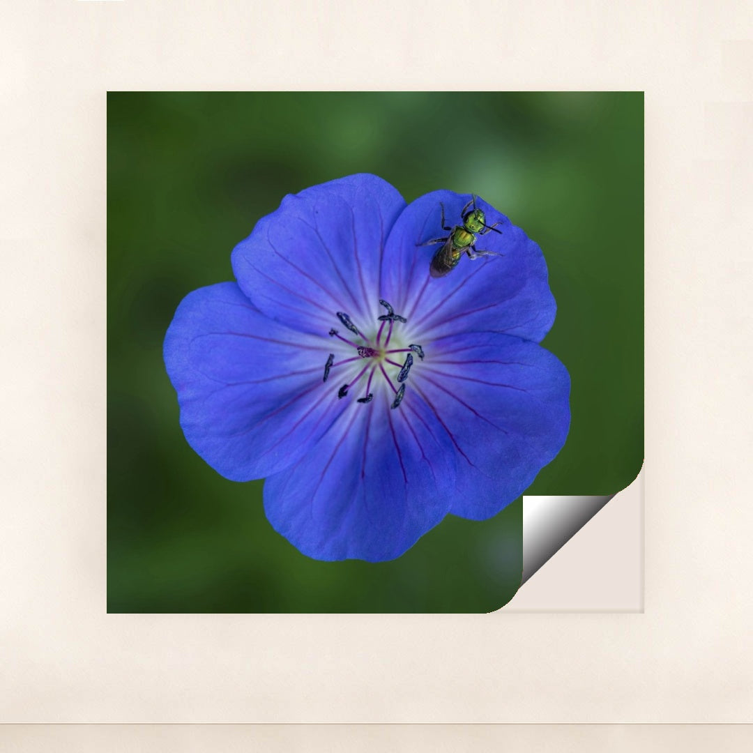 7090292064291 - Product Image