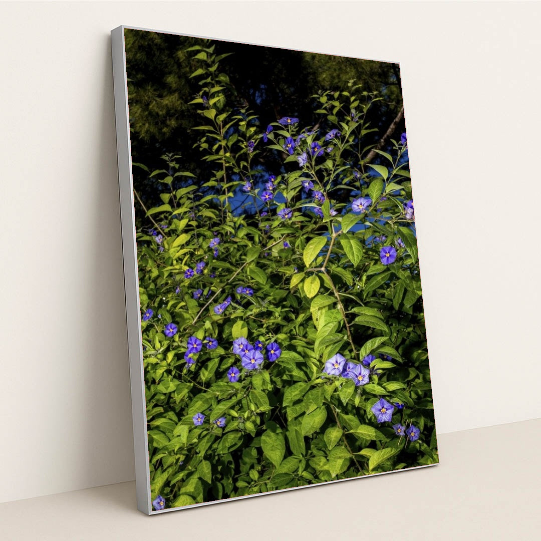 7090341085219 - Product Image