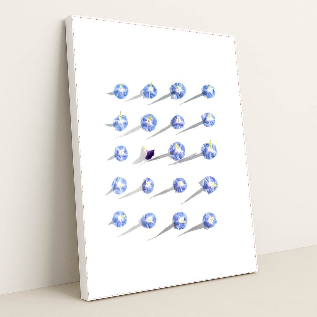 7090296750115 - Product Image