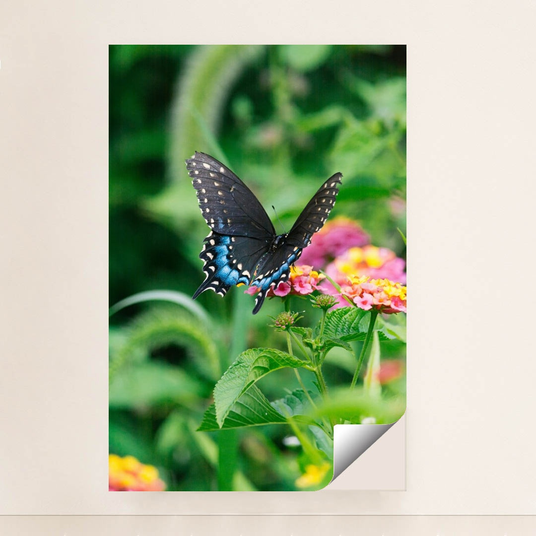 Blue Shadow Butterfly by Gayatri Malhotra - Peeliez