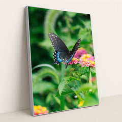 Blue Shadow Butterfly by Gayatri Malhotra - Silver Frame Stretchiez