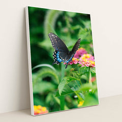 Blue Shadow Butterfly by Gayatri Malhotra - White Frame Stretchiez