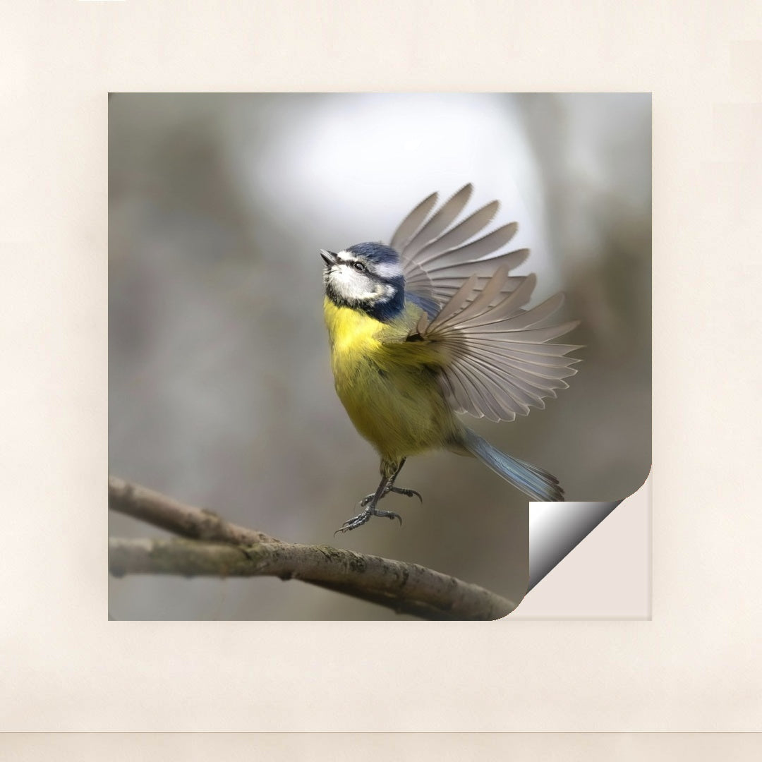 7090235965475 - Product Image