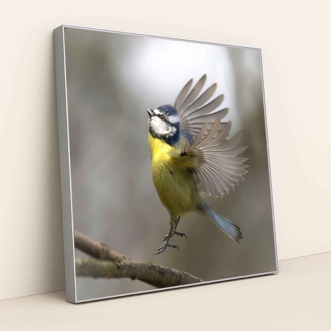 7090235965475 - Product Image